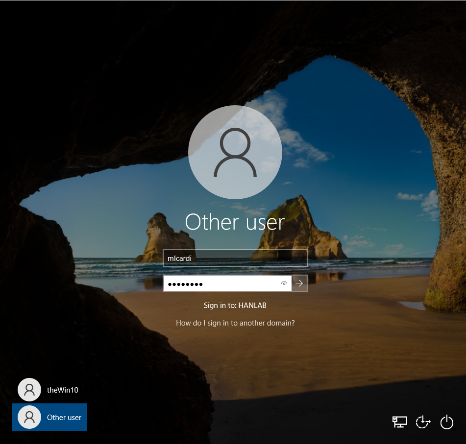 Domain User Login Screenshot